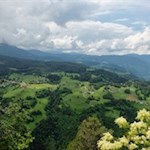 Verträumter-Blick-von-der-Königswarte