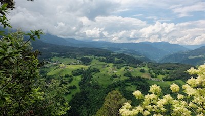 Verträumter Blick von der Königswarte