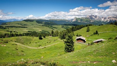 Den sanft gewellten Wiesen der Seiser Alm wohnt ein besonderer Liebreiz inne