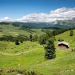 I prati dolcemente ondulati dell'Alpe di Siusi hanno un fascino particolare.