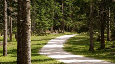 Sanft schlängelt sich der Wanderweg nach Pederü