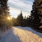 Durch den winterlichen Wald zur Tuffalm