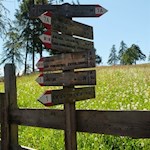 Schließlich zweigt der Weg Nr. 1 auf die Langfenn ab