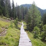 Brettersteg auf dem liebevoll angelegten Almsteig