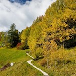 Über den liebevoll angelegten Stationenweg in Richtung Seceda