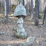Längs des Pilzeweges trifft man auf überdimensional große Pilze aus Holz