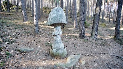 Längs des Pilzeweges trifft man auf überdimensional große Pilze aus Holz