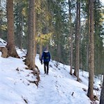 Waldanstieg zur Geisleralm