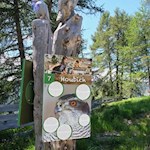 Auf dem Weg zur Pfnatschalm gewähren Infotafeln interessante Einblicke in Südtirols Tierwelt