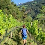 Through orchards back to Chiusa