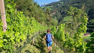 Through orchards back to Chiusa