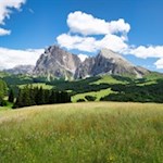 Hinter den sanft gewellten Almwiesen erheben sich der Lang- und Plattkofel