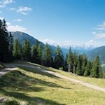 In zahlreichen Kehren windet sich der Wanderweg zur Uwaldalm