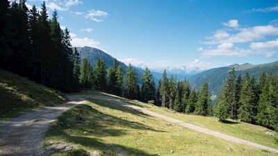 In zahlreichen Kehren windet sich der Wanderweg zur Uwaldalm