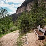 "Die Welt gehört dem, der sie genießt." (Giacomo Leopardi)