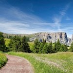Die Wanderung zur Sattler Schwaige öffnet verträumte Ausblicke auf den Schlern
