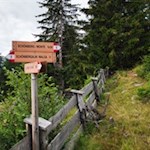 Von der Schönbergalm führt der Wanderweg Nr. 5 auf den Schönberg