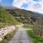 Die Dörferrunde schlängelt sich durch malerische Obstwiesen