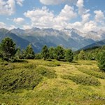 Über aussichtsreiche Hänge auf den Lutterkopf