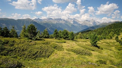 Über aussichtsreiche Hänge auf den Lutterkopf