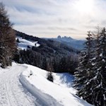 Mit Blick auf die Dolomiten zurück zum Parkplatz Kühhof