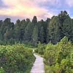 Über sichere Bretterstege zur Rinderplatz Hütte