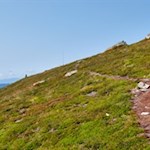 Schließlich zweigt am linken Wegesrand ein kleiner Wandersteig zur Platte ab