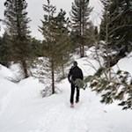 Auf den schmalen Waldpfaden hinab zur Halslhütte