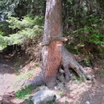 Kurz vor Spiluck zweigt unser Wanderweg rechts ab