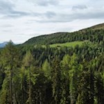 Zu Füßen des Astjochs liegt die Kreuzwiesenalm inmitten sanfter Almwiesen