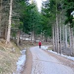 Die ersten Meter zur Jenesier Jöchl Alm führen über ein asphaltiertes Sträßchen