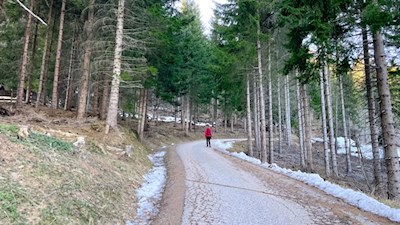 Die ersten Meter zur Jenesier Jöchl Alm führen über ein asphaltiertes Sträßchen
