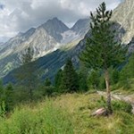 Der Rückweg vom Staller Sattel erfolgt auf dem Hinweg