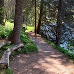 Rastbank am Ufer des Durnholzer Sees