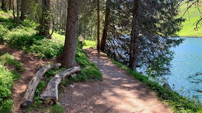 Rastbank am Ufer des Durnholzer Sees