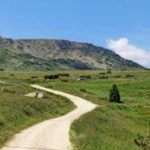 Sanft schlängelt sich der Weg in Richtung Totenkapelle und Totensee