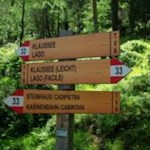 Nun muss die Entscheidung fallen: auf dem schmalen, recht steilen Pfad oder auf gemütlichem Wege zum Klaussee?