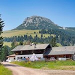 Malga-d-Ora-ai-piedi-del-Corno-Bianco