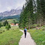 Sanft schlängelt sich die Elisabethpromenade durch die Landschaft unterhalb des Rosengarten 