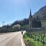 Bei Tramin an der Weinstrasse