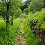 Auf gepflasterten Wegen zur Trostburg