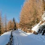 Durch knirschenden Schnee hinauf zur Prantneralm