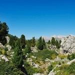 Die Steinerne Stadt, ein Labyrinth aus unzähligen Felsbrocken