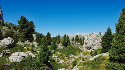 Die Steinerne Stadt, ein Labyrinth aus unzähligen Felsbrocken