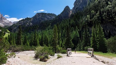 Dietro la Capanna Alpina, il sentiero conduce inizialmente quasi in piano in direzione del rifugio Scotoni