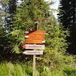 Der Weg zur Bacherhütte ist gut ausgeschildert