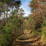 Auf großenteils ebenen Wegen in Richtung Schabs