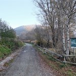 Von Viums führt der Weg durch ein Biotop zurück nach Natz