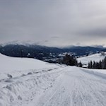 Die Rodelbahn Gitschberg verspricht ein ungetrübtes Wintervergnügen