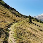 Auf dem Wiesenpfad zur Gewingesalm